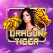 Dragon Tiger Bingo Plus App live casino