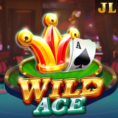 Wild Ace Bingo Plus App slot